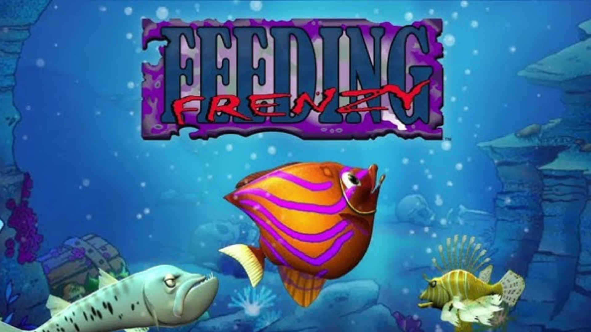 Feeding Frenzy 
